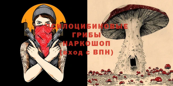 мяу мяу мука Дмитров