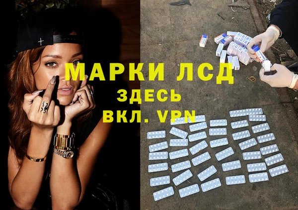 мяу мяу мука Дмитров