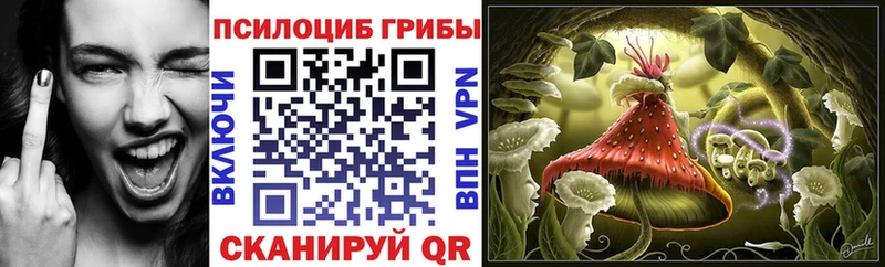 Псилоцибиновые грибы MAGIC MUSHROOMS  Смоленск 