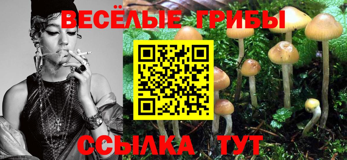 Смоленск  Галлюциногенные грибы Magic Shrooms  Вход с VPN 