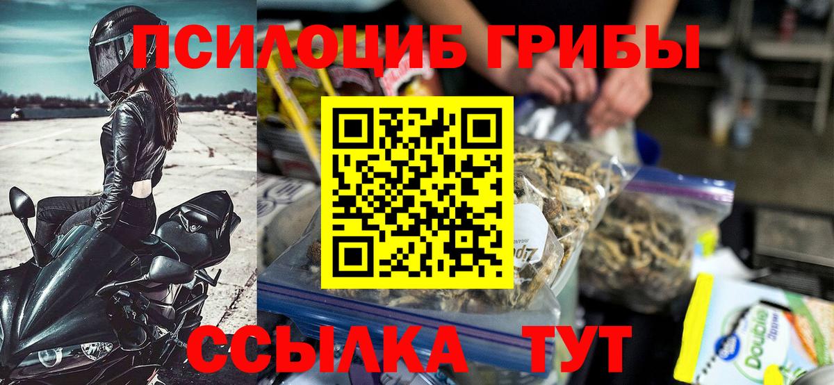Псилоцибиновые грибы мицелий Смоленск